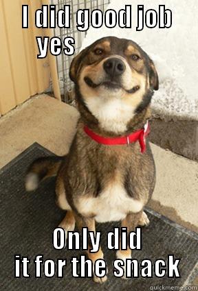 I DID GOOD JOB YES                  ONLY DID IT FOR THE SNACK Good Dog Greg