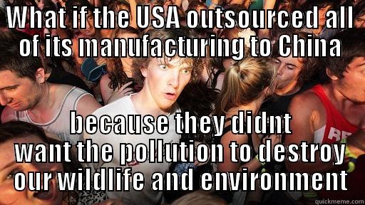 WHAT IF THE USA OUTSOURCED ALL OF ITS MANUFACTURING TO CHINA BECAUSE THEY DIDNT WANT THE POLLUTION TO DESTROY OUR WILDLIFE AND ENVIRONMENT Sudden Clarity Clarence