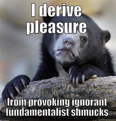 I DERIVE PLEASURE FROM PROVOKING IGNORANT FUNDAMENTALIST SHMUCKS Confession Bear