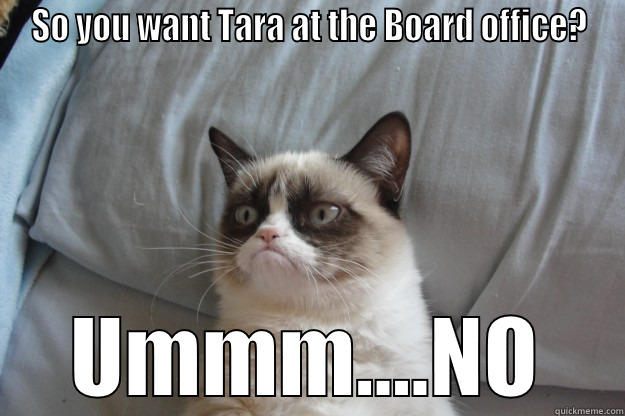 SO YOU WANT TARA AT THE BOARD OFFICE? UMMM....NO Grumpy Cat