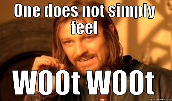 ONE DOES NOT SIMPLY FEEL W00T W00T Boromir