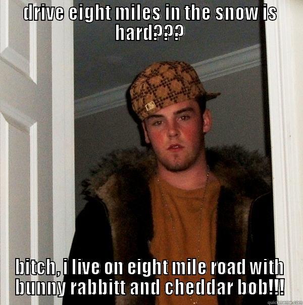 DRIVE EIGHT MILES IN THE SNOW IS HARD??? BITCH, I LIVE ON EIGHT MILE ROAD WITH BUNNY RABBITT AND CHEDDAR BOB!!! Scumbag Steve