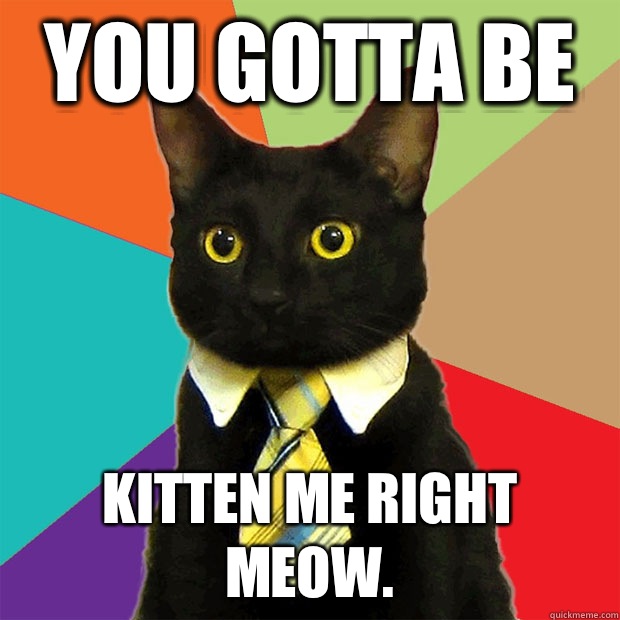 You gotta be Kitten me right meow.  Business Cat