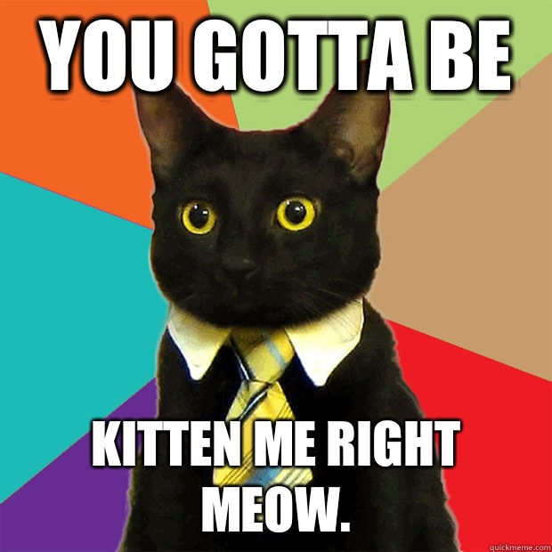 You gotta be Kitten me right meow. - Business Cat - quickmeme