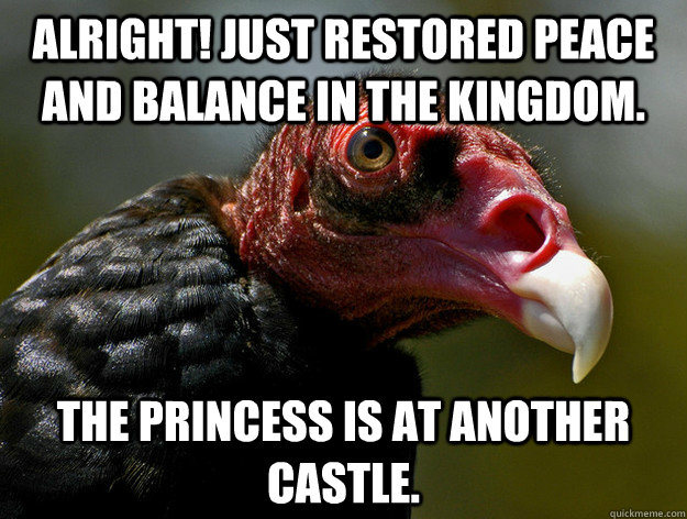 Alright! Just restored peace and balance in the kingdom.  The princess is at another castle.   Buzzkill Buzzard