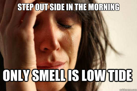 Step out side in the morning only smell is low tide  First World Problems