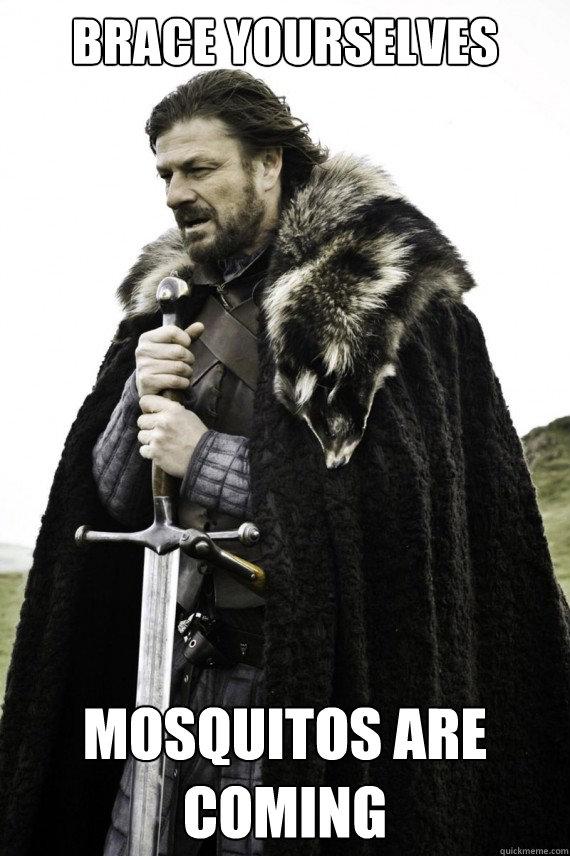 BRACE YOURSELVES MOSQUITOS ARE COMING  Brace yourself