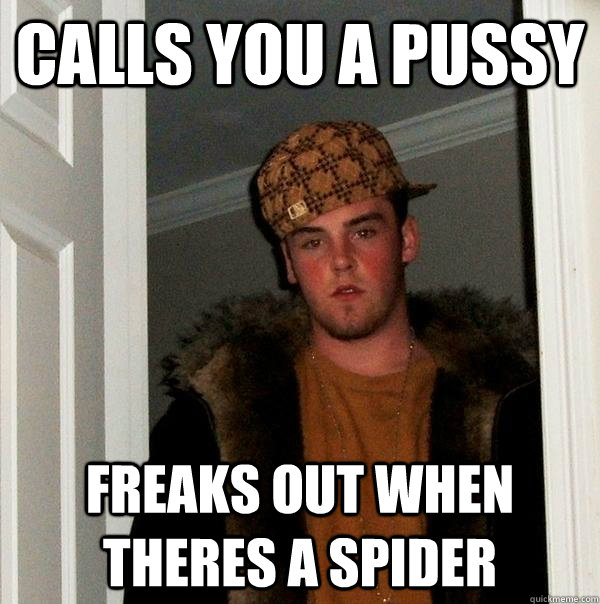 Calls you a pussy freaks out when theres a spider  Scumbag Steve