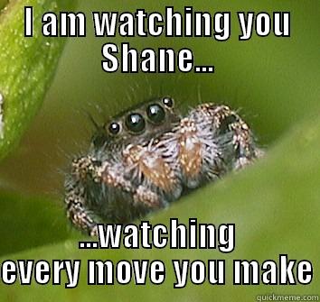 I AM WATCHING YOU SHANE... ...WATCHING EVERY MOVE YOU MAKE Misunderstood Spider