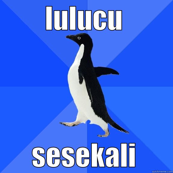 LULUCU SESEKALI Socially Awkward Penguin