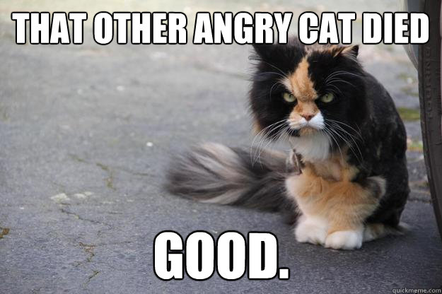 That other angry cat died Good.  Angry Cat