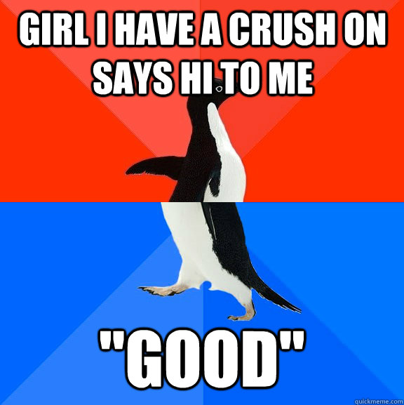 Girl I have a crush on says hi to me 