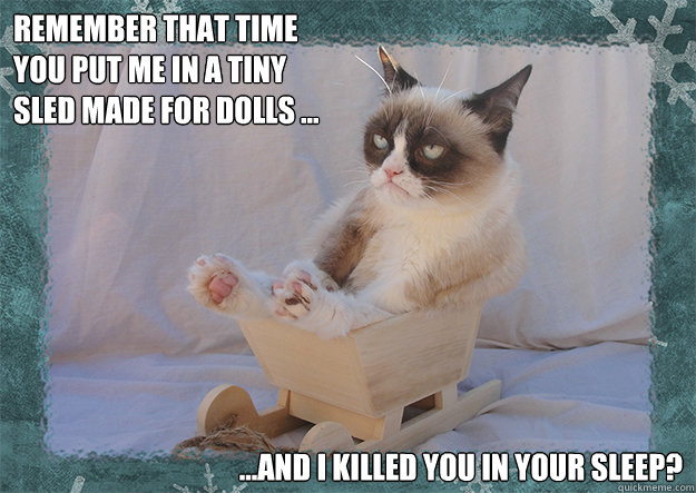 Remember that time 
You put me in a tiny
sled made for dolls ... ...and i killed you in your sleep?  