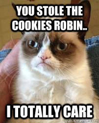 you stole the cookies robin.. I totally care  