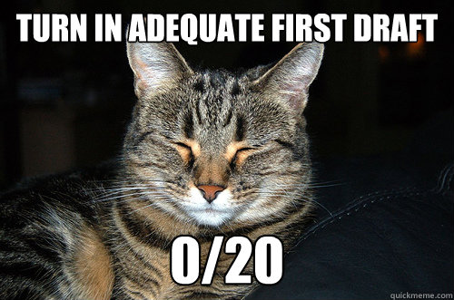 Turn in adequate first draft 0/20  - Turn in adequate first draft 0/20   Confer Cat