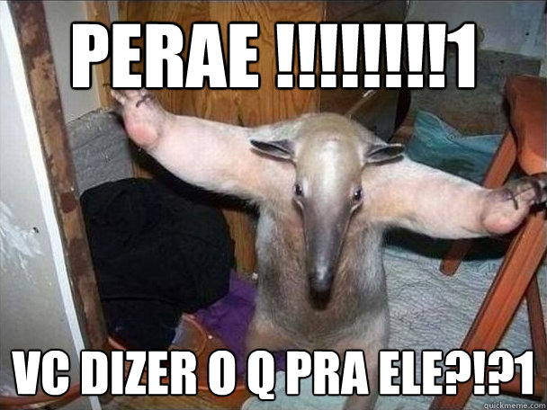 PERAE !!!!!!!!1 vc dizer o q pra ele?!?1 - PERAE !!!!!!!!1 vc dizer o q pra ele?!?1  I got this