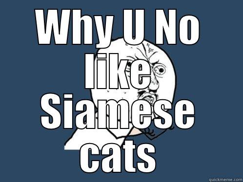 WHY U NO LIKE SIAMESE CATS Y U No