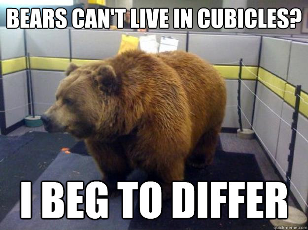 Bears can't live in cubicles? I beg to differ  Office Grizzly