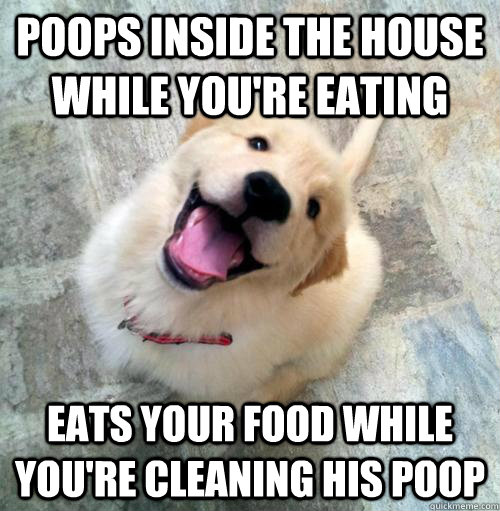 Poops inside the house while you're eating eats your food while you're cleaning his poop  Actual Puppy