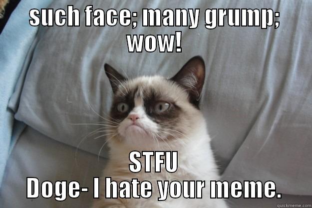 SUCH FACE; MANY GRUMP; WOW! STFU DOGE- I HATE YOUR MEME. Grumpy Cat