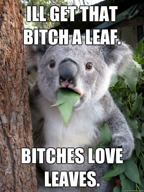 Ill get that bitch a leaf. bitches love leaves. - Ill get that bitch a leaf. bitches love leaves.  koala bear