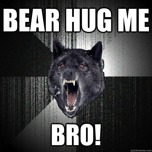 BEAR HUG ME BRO!  Insanity Wolf