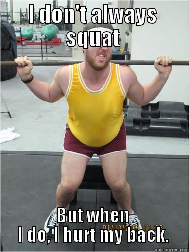 hurt back - I DON'T ALWAYS SQUAT BUT WHEN I DO, I HURT MY BACK. Misc