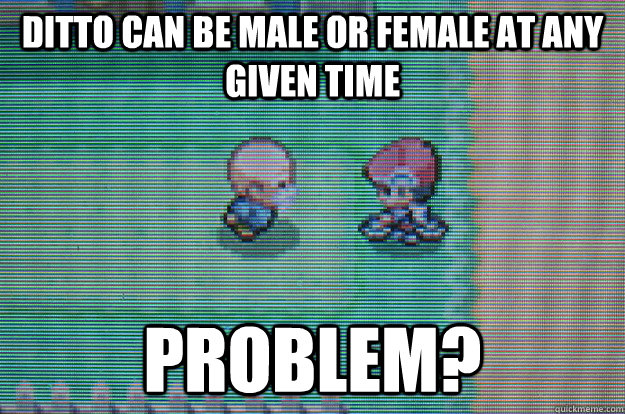 ditto can be male or female at any given time problem? - ditto can be male or female at any given time problem?  Sexually Oblivious Daycare man