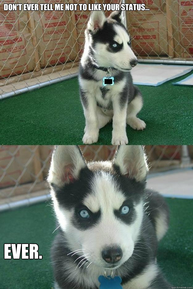 Don't ever tell me not to like your status... EVER.  Insanity puppy
