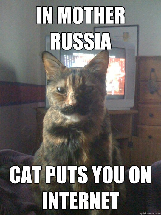 In Mother Russia Cat puts you on internet - In Mother Russia Cat puts you on internet  Motherland Kat