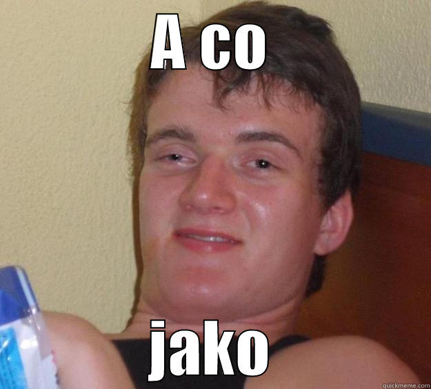 A CO JAKO 10 Guy