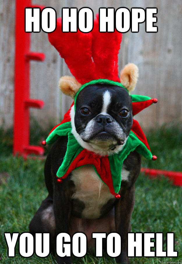 ho ho hope you go to hell - ho ho hope you go to hell  grumpy holiday dog