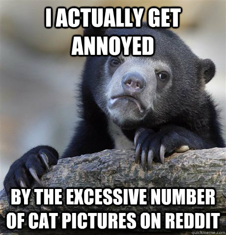I actually get annoyed by the excessive number of cat pictures on reddit  Confession Bear