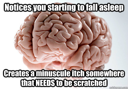 Notices you starting to fall asleep Creates a minuscule itch somewhere that NEEDS to be scratched    Scumbag Brain
