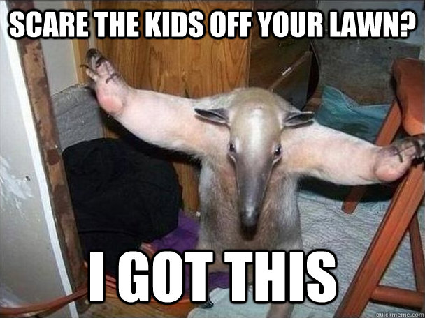 Scare the kids off your lawn? I got this  I got this