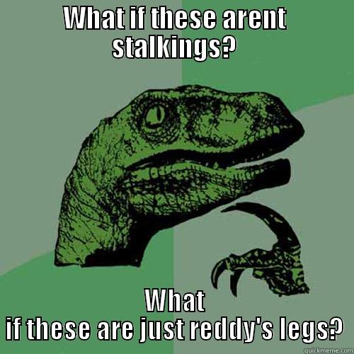 WHAT IF THESE ARENT STALKINGS? WHAT IF THESE ARE JUST REDDY'S LEGS? Philosoraptor