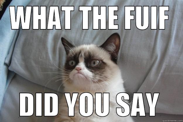 WHAT THE FUIF DID YOU SAY Grumpy Cat