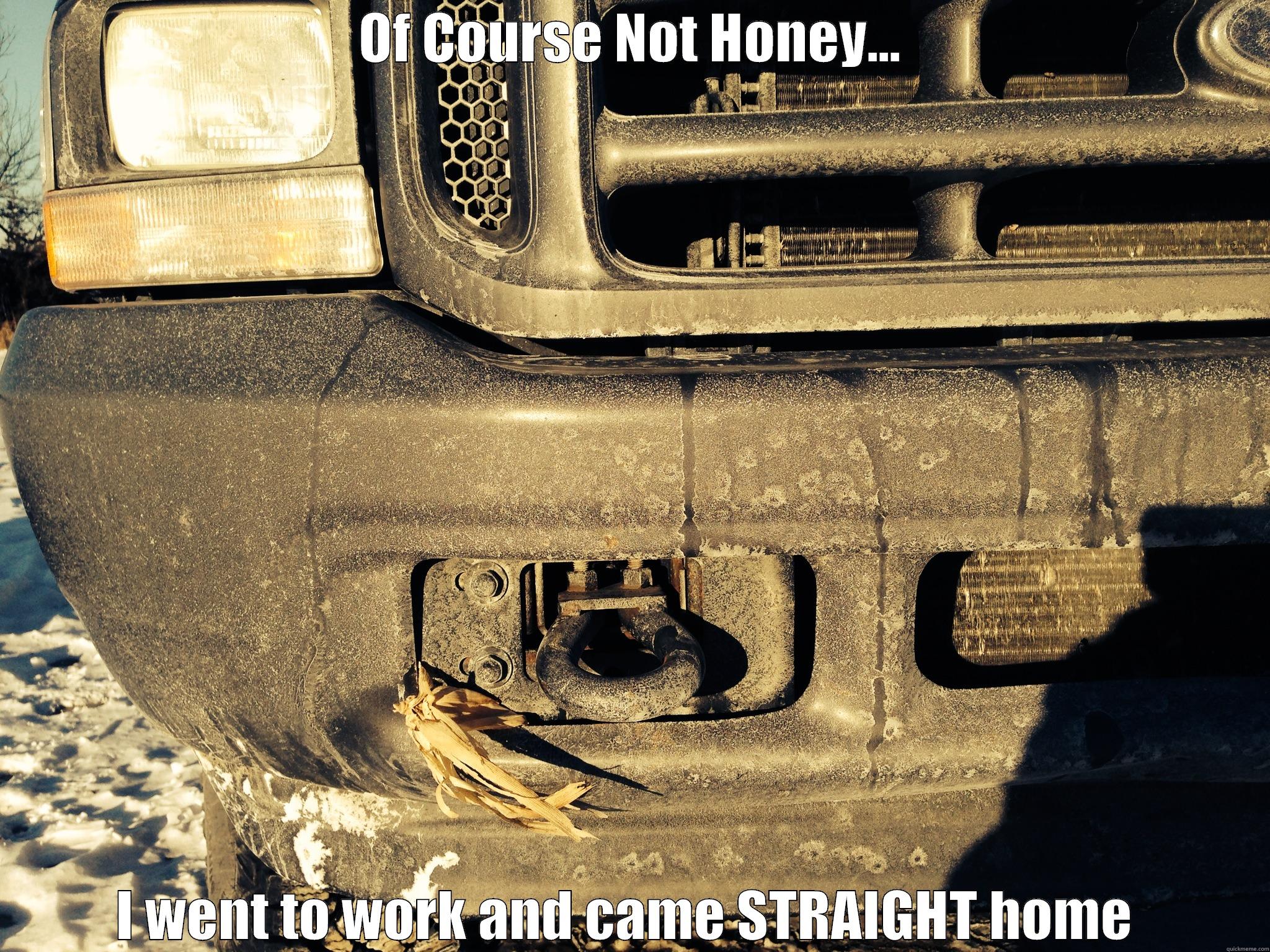 OF COURSE NOT HONEY... I WENT TO WORK AND CAME STRAIGHT HOME  Misc