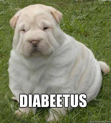 DIABEETUS - DIABEETUS  Diabeetus Dog