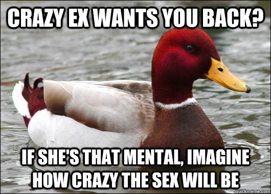 Crazy ex wants you back? If she's that mental, imagine how crazy the sex will be  Malicious Advice Mallard