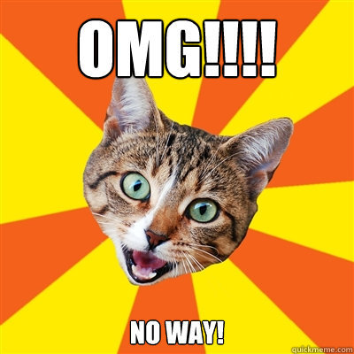 OMG!!!! NO WAY!  Bad Advice Cat