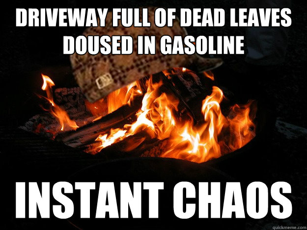 Driveway full of dead leaves doused in gasoline Instant chaos - Driveway full of dead leaves doused in gasoline Instant chaos  Scumbag Fire