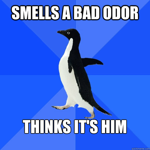 Smells a bad odor  Thinks it's him   Socially Awkward Penguin