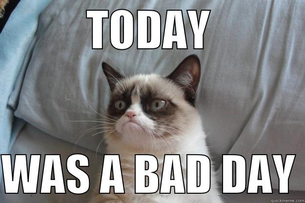 TODAY WAS A BAD DAY Grumpy Cat