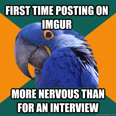 First time posting on imgur more nervous than for an interview  Paranoid Parrot