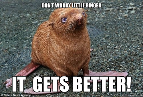 Don't worry little ginger IT  GETS BETTER!  Ginger seal meme