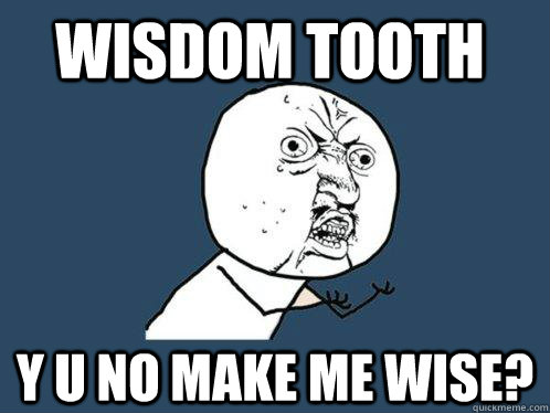 wisdom tooth y u no make me wise?  Y U No
