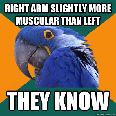 Right arm slightly more muscular than left they know  Paranoid Parrot