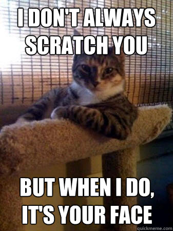 I don't always scratch you but when i do, it's your face  The Most Interesting Cat in the World