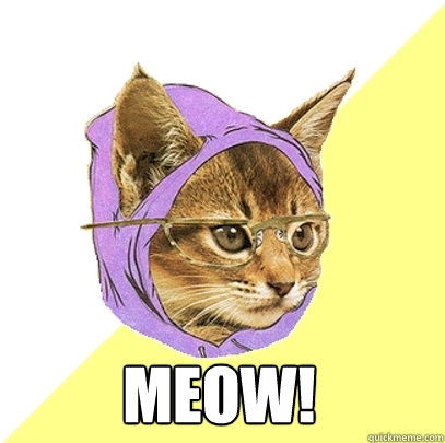  MEOW!  Hipster Kitty